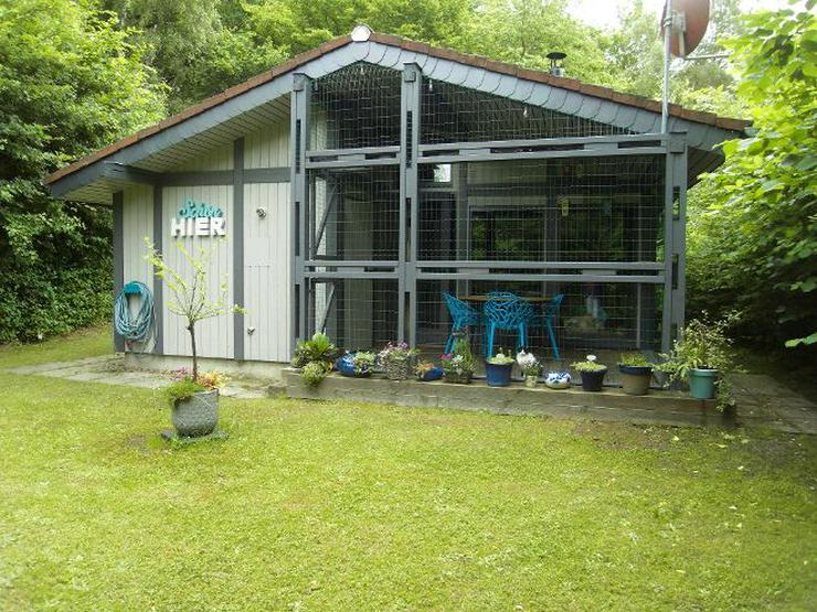 Bild 2: Ferienhaus Mau & Wau  - Waldhessen - Hunde und Katzen willkommen ! 