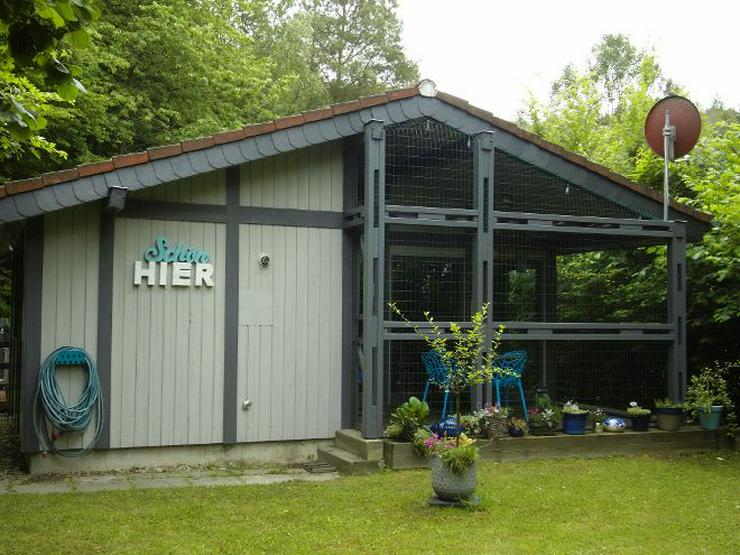 Freistehendes Ferienhaus in Waldhessen - Haustiere willkommen - Ferienhaus Mau & Wau - Sonstige Ferienhäuser - Bild 13