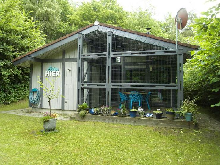 Bild 16: Freistehendes Ferienhaus in Waldhessen - Haustiere willkommen - Ferienhaus Mau & Wau