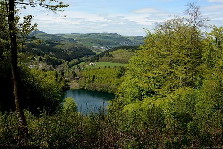 2022,  Eifel-Mosel-Natur-Urlaub: 2x Fewo - Sonstige Ferienwohnung - Bild 16