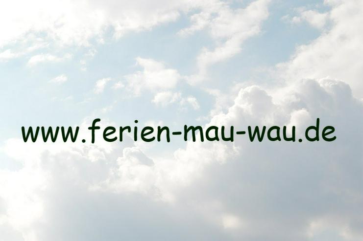 Bild 18: Ferienhaus " Mau & Wau " - Freistehendes Ferienhaus - Waldhessen - Haustiere willkommen !  