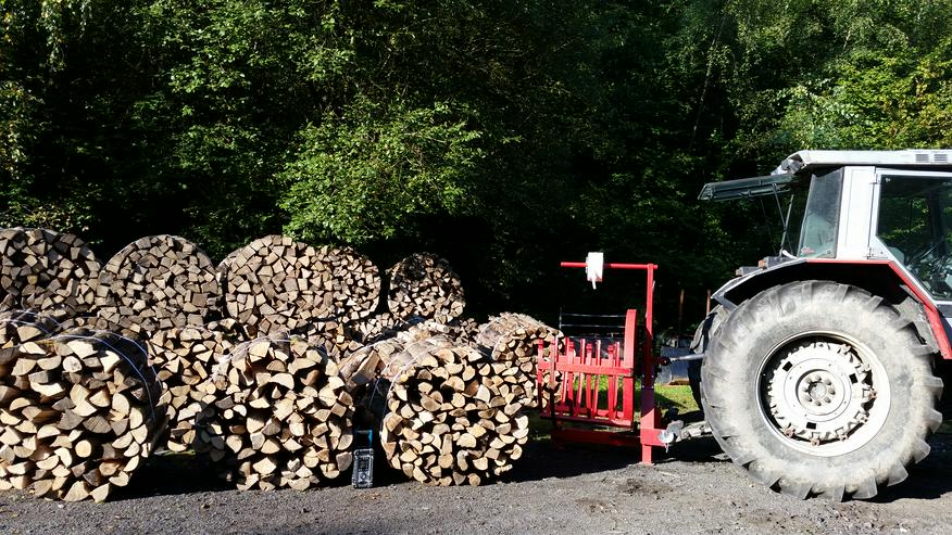 Baumfällungen, Problembaumfällung, Seilklettertechnik - Gartenarbeiten - Bild 12