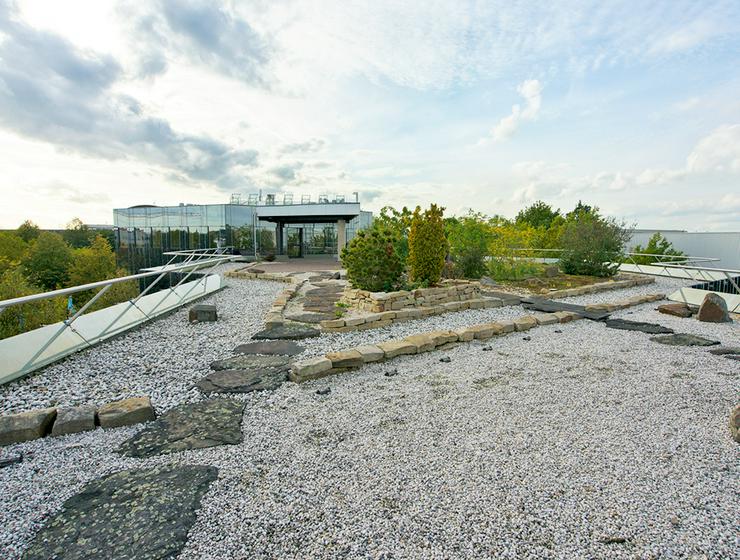 Bild 6: Großzügige und moderne Büroabteilungen mit schöner Dachterrasse in Krefeld