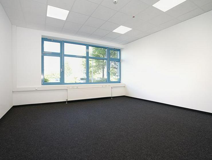 Bild 4: Renovierte, helle Einzel- oder Teambüros in Mainz
