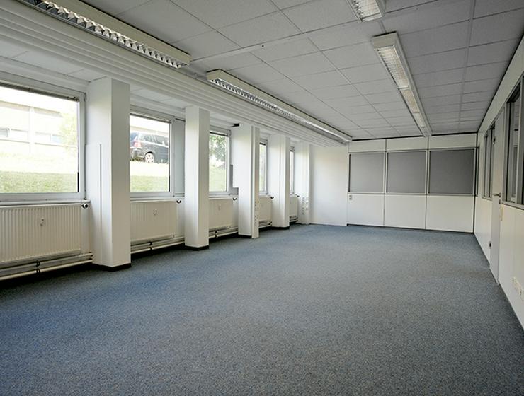 Große Büroabteilungen zum Wohlfühlen mit Revierdienst vor Ort in Pfungstadt - Gewerbeimmobilie mieten - Bild 4