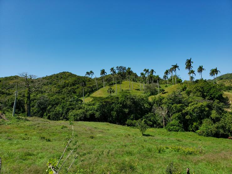 1000 m2 Traumgrundstück in der Karibik mit Meerblick Exclusiv - Grundstück kaufen - Bild 3
