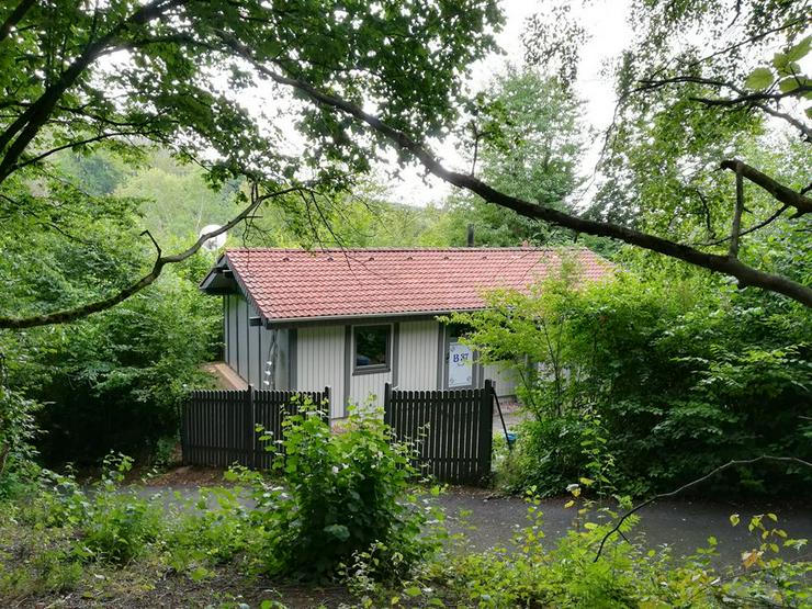Bild 2: Ferien mit Mau & Wau - freistehendes Ferienhaus in Waldhessen - Buchungen 2021