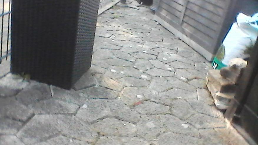 Terrassen Steine und Gehweg Steine  zu verschenken - zu Verschenken - Bild 2