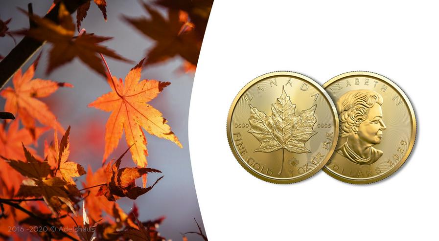 Kanada 1 Unze Goldmünze Maple Leaf 2020 Gold