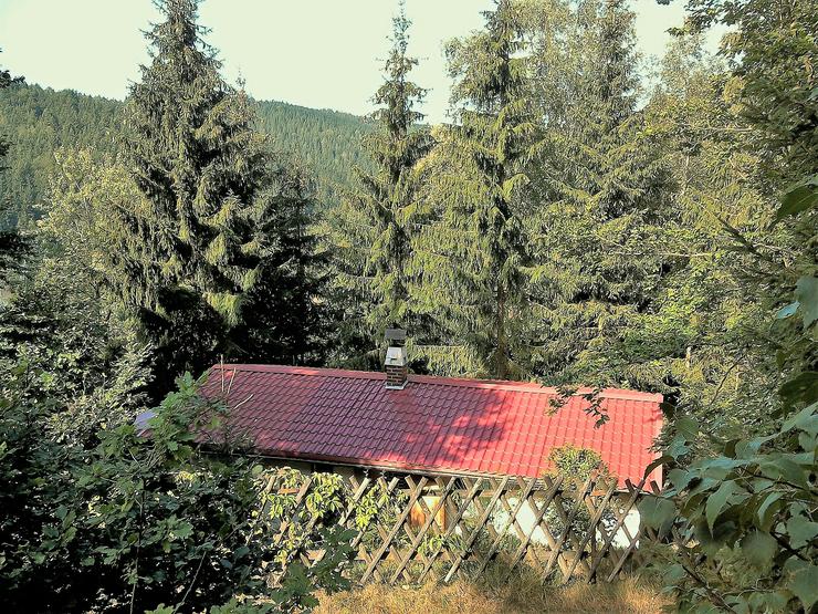 Bild 7: Idyllisches Feriengrundstück