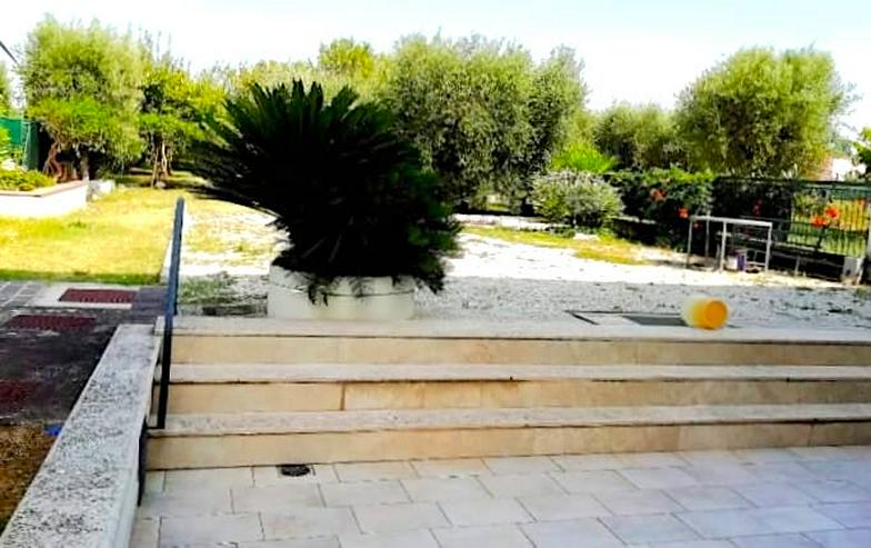 Große voll renovierte und vollmöbilierte Haushälfte mit 1600m² Grundstück in voller Natur zwischen Olivenbäumen, sanften Hügel und Meer. Italien, Abruzzen - Haus kaufen - Bild 9