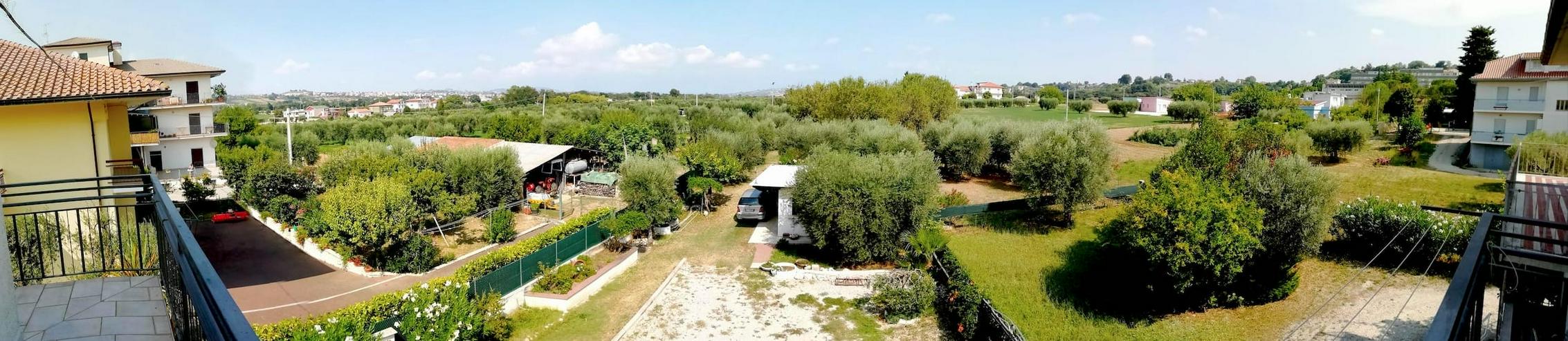 Große voll renovierte und vollmöbilierte Haushälfte mit 1600m² Grundstück in voller Natur zwischen Olivenbäumen, sanften Hügel und Meer. Italien, Abruzzen - Haus kaufen - Bild 7