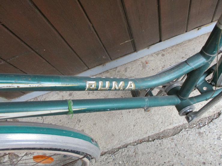 Oldtimerfahrrad von Puma zum herrichtern Versand möglich - Citybikes, Hollandräder & Cruiser - Bild 2