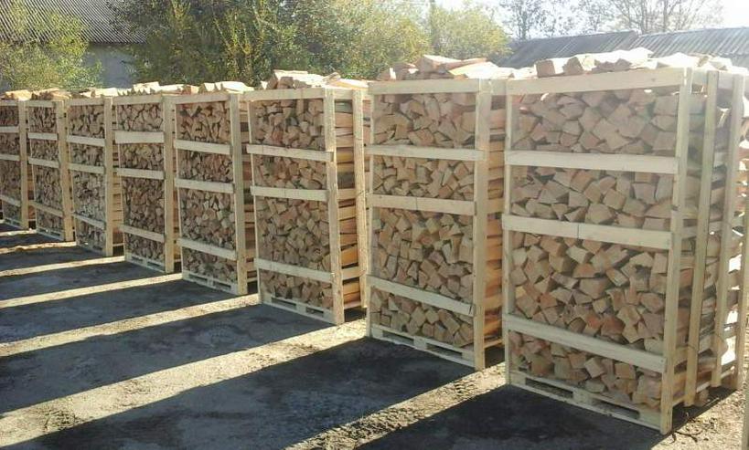 Brennholz 100 % trocken und hart - 3 Jahre Trocknen - Pflanzen - Bild 1