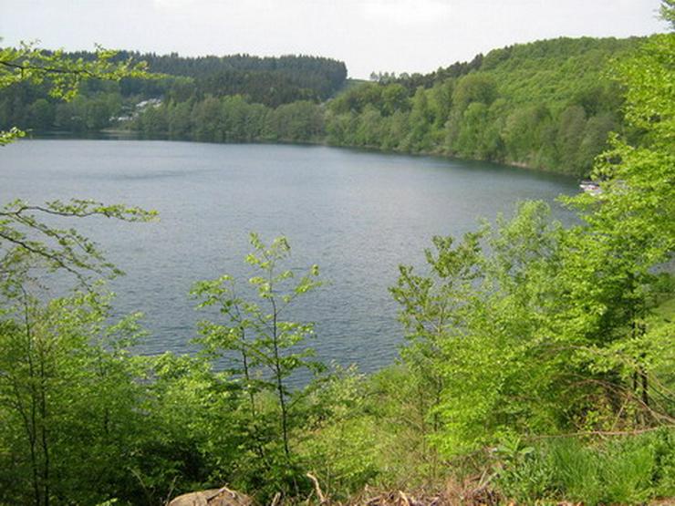 Bild 15: Kurzfristig freie Eifel-Ferienwohnung ab Dezember frei. Ruhe, Natur...