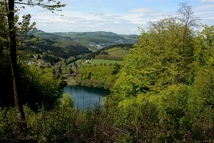 Bild 13: Kurzfristig freie Eifel-Ferienwohnung ab Dezember frei. Ruhe, Natur...