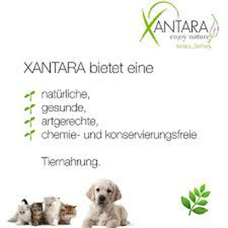 Bild 2: Xanatara Nassfutter für Hunde und Katzen