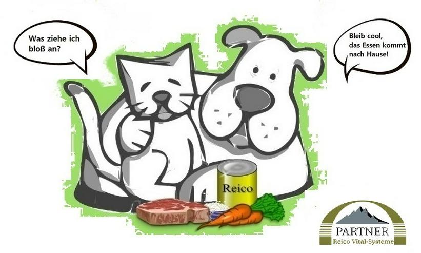 Hundefutter Aktion: Probe-Essen für Ihren Vierbeiner - Futter & Näpfe - Bild 1