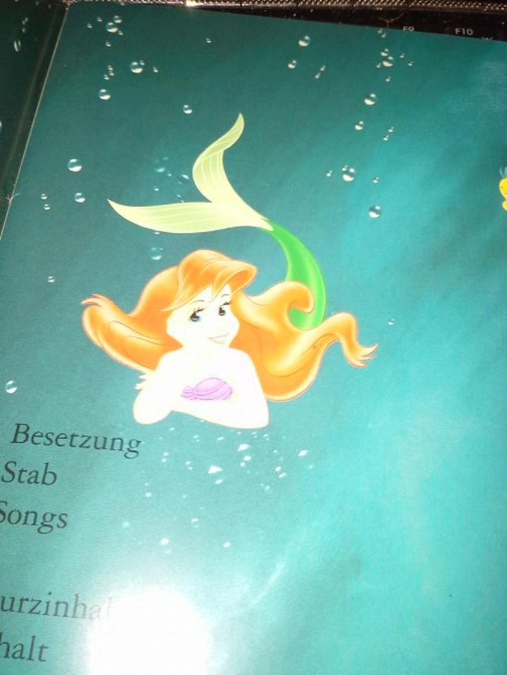 Presseheft 1989 Arielle Die Meerjungfrau Disney Zeichentrick - Gemälde & Zeichnungen - Bild 4