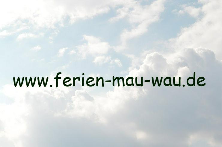 Katzenpension ? NEIN DANKE - Ferienhaus Mau & Wau - Waldhessen - Hessen - Tiersitter & -pensionen - Bild 18