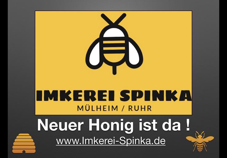 Honig - Blütenhonig direkt vom Imker - Honig, Konfitüre & Brotaufstriche - Bild 3