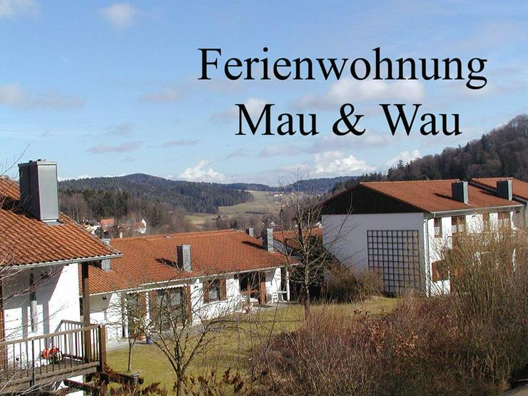 Bild 1: Ferien mit Mau und Wau - Bayerischer Wald -  2022 - Katzen und Hunde willkommen ! 