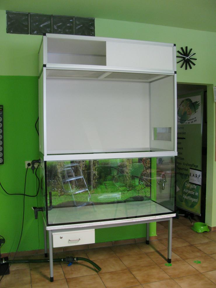 Bild 7: Paludarium / Aquaterrarium