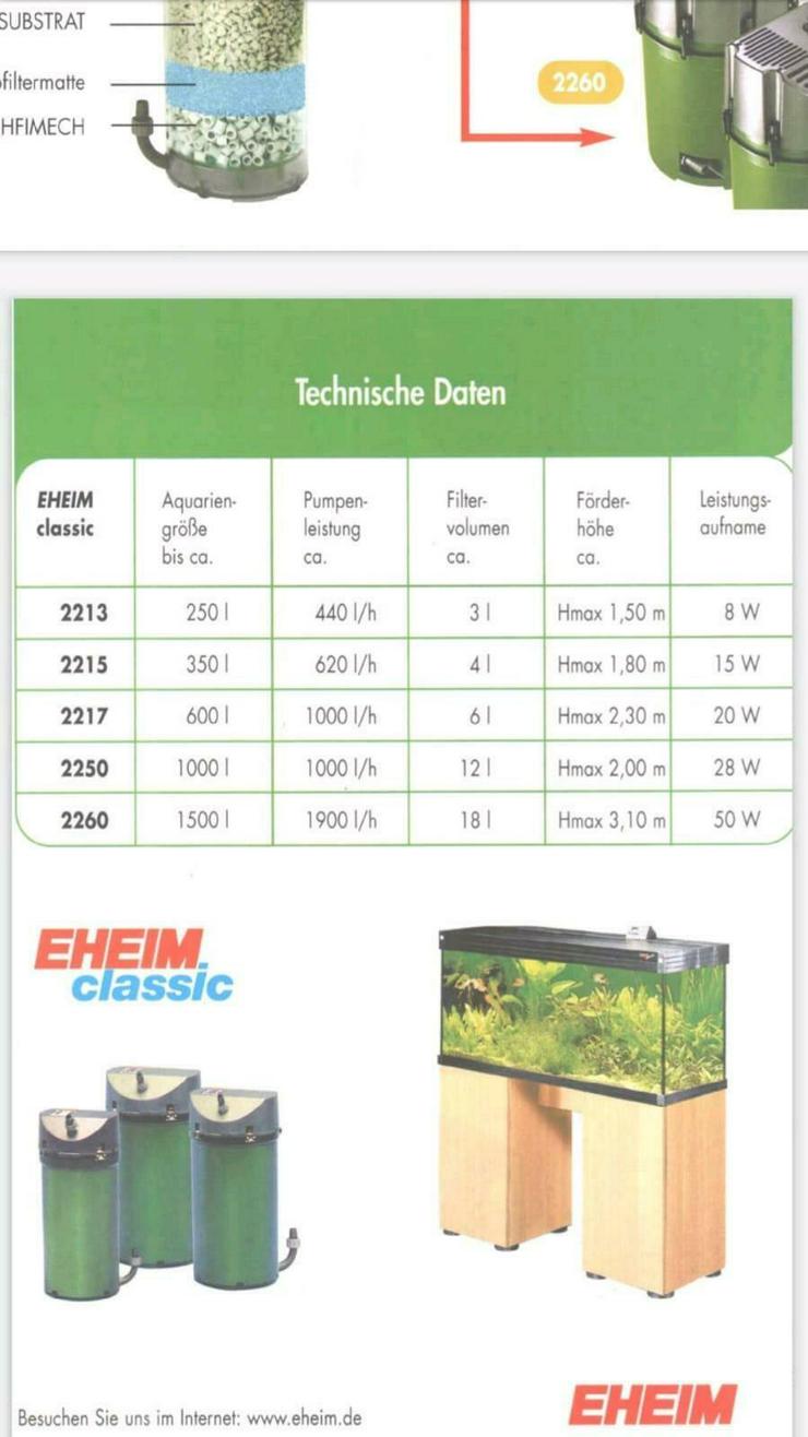 Bild 15: Paludarium / Aquaterrarium