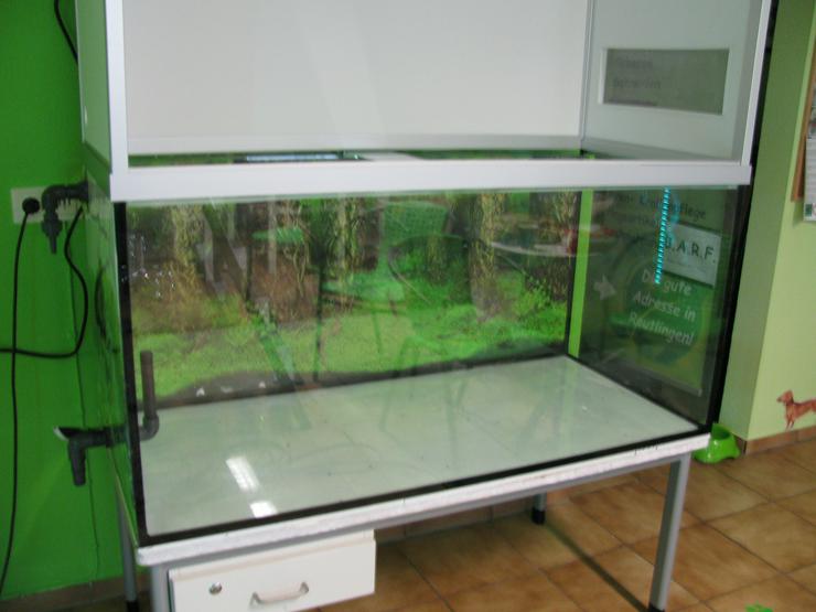 Bild 10: Terrarium mit großem Wasserteil /Paludarium