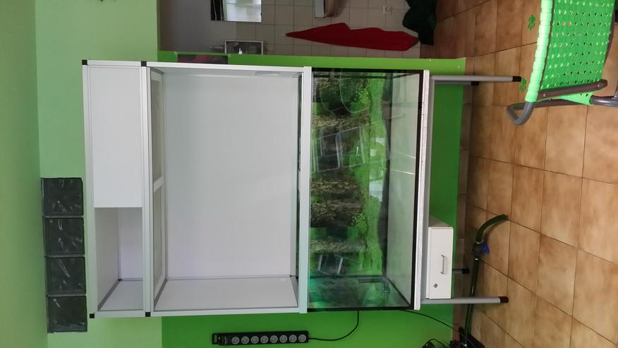 Bild 9: Terrarium mit großem Wasserteil /Paludarium