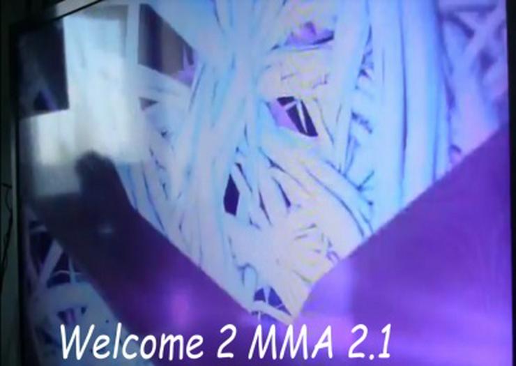 Vinyl's - Collection ~ Welcome 2 MMA 2.1 - Nerven Nahrung 8)