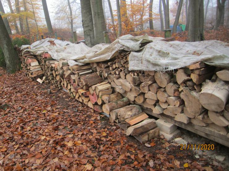 Bild 5: Brennholz 9 m³  vorwiegend Buche zu verkaufen
