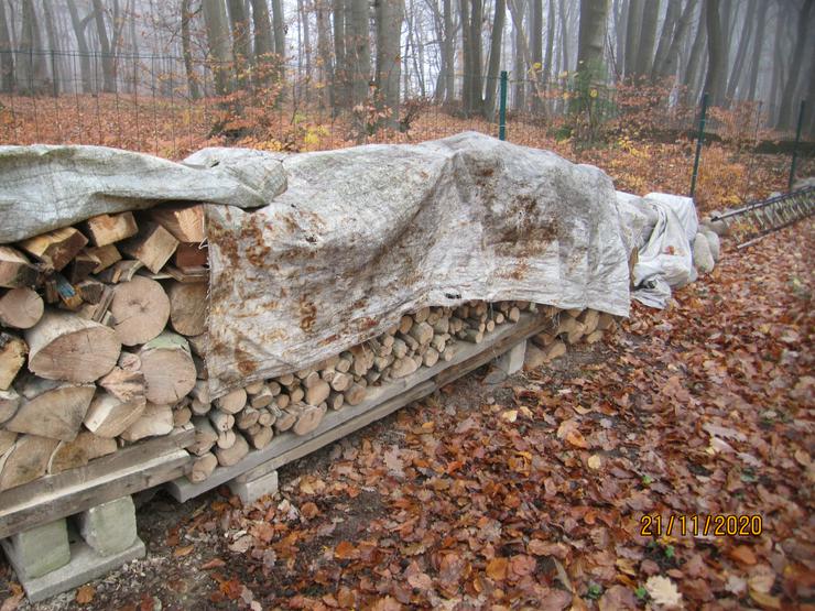 Bild 4: Brennholz 9 m³  vorwiegend Buche zu verkaufen