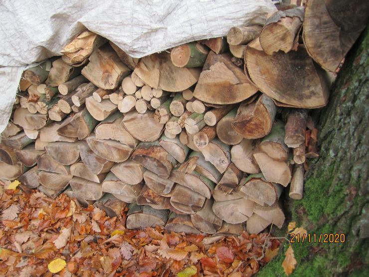 Bild 3: Brennholz 9 m³  vorwiegend Buche zu verkaufen