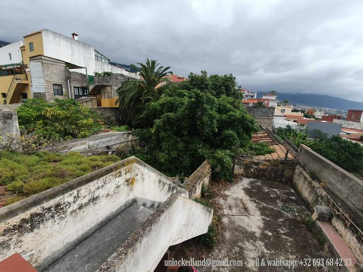 Bild 15: Haus 11 Zimmer verkaufen - Teneriffa - Kanarische Inseln