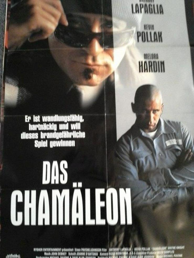 Seltenes A1 Orginal Plakat 1995 Das Chamäleon