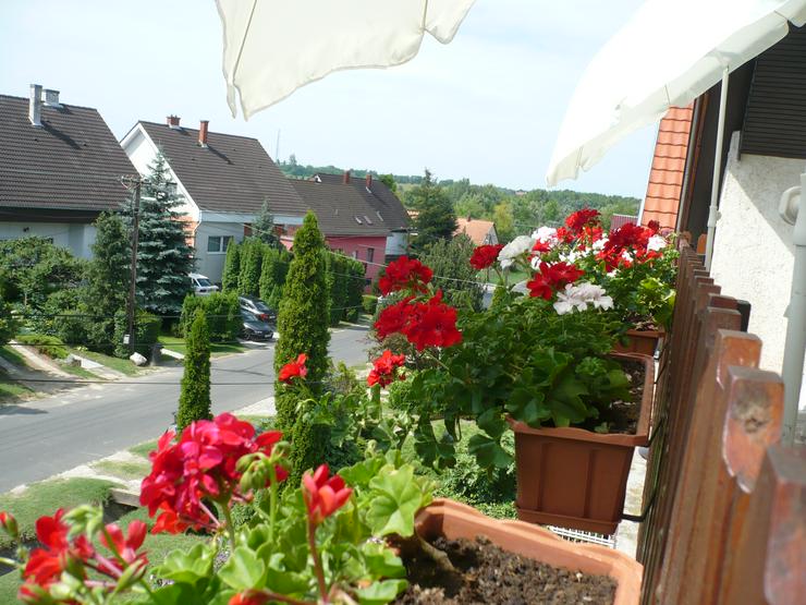 Bild 11: Einfamilienhaus ist zu verkaufen am Balaton