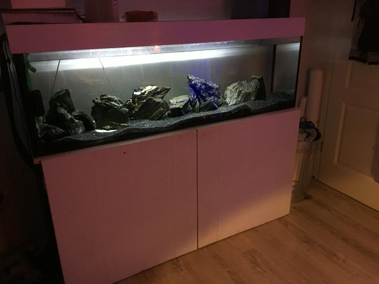 Bild 13: 220L Aquarium Komplettset | Schrank + Lichtkasten Weiß | Aussenfilter | Kies/Steine | sämtl. Zubehör