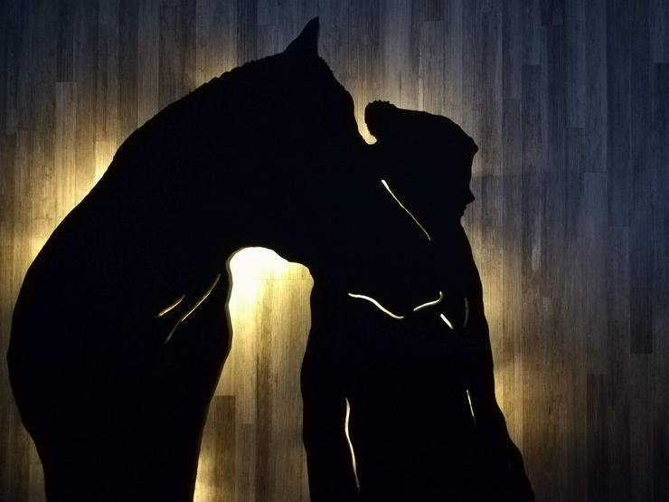 Bild 4: Dein eigenes Pferd als Wanddeko mit LED Beleuchtung
