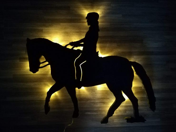 Bild 2: Dein eigenes Pferd als Wanddeko mit LED Beleuchtung