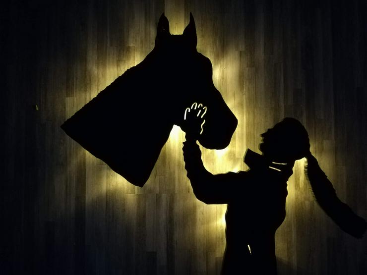 Bild 5: Dein eigenes Pferd als Wanddeko mit LED Beleuchtung