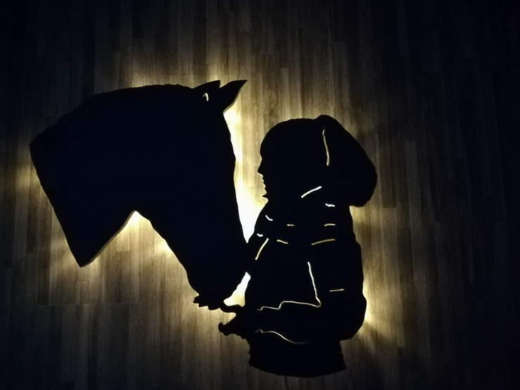 Bild 8: Dein eigenes Pferd als Wanddeko mit LED Beleuchtung