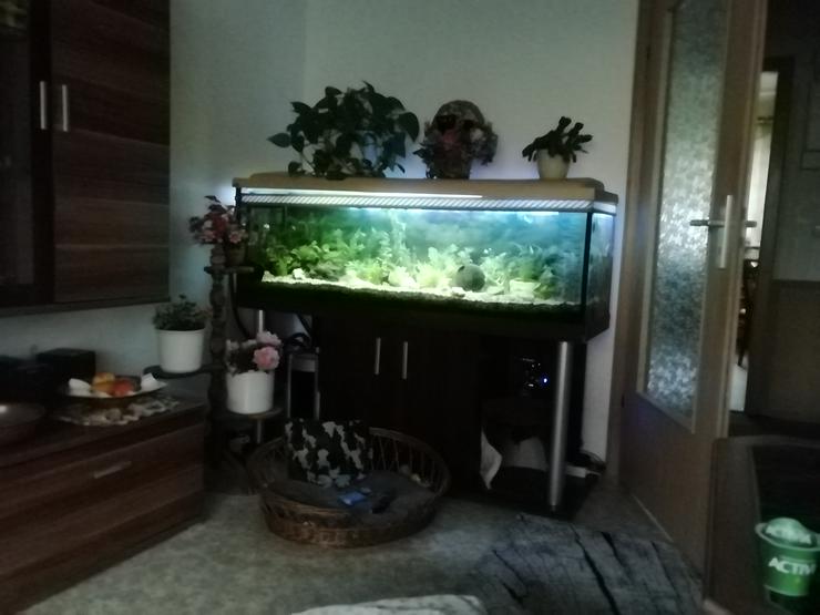 Bild 2: Aquarium mit Unterschrank zu verk.