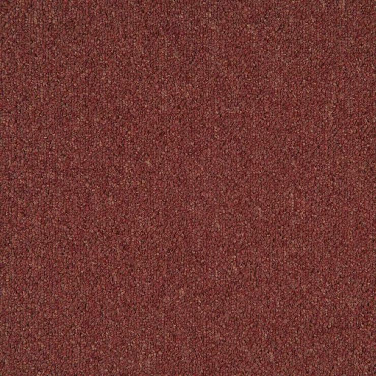 Bild 4: NEUE Billige Edel Carpets Teppichfliesen. In mehreren Farben