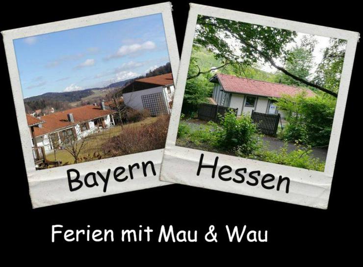 Bild 18: Ferien mit Mau & Wau  - Bayerischer Wald - Haustiere willkommen !