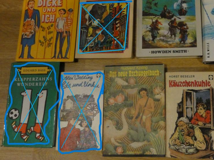Bild 5: Kinder-und Jugendbücher (aus 70er Jahren der DDR-Zeit)