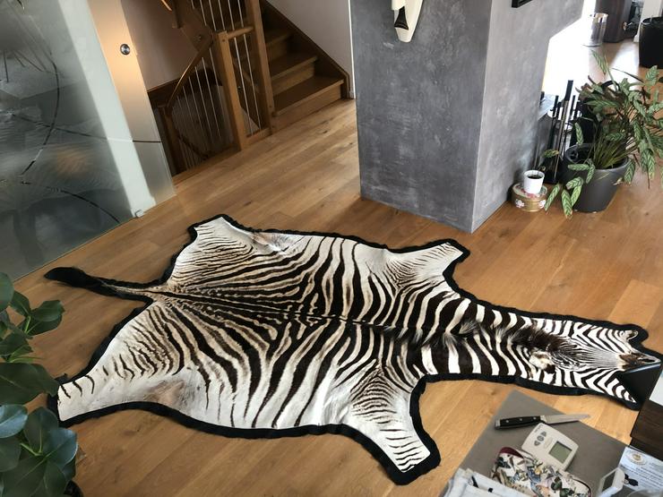 Bild 4: Zebrafell 340 x 140 cm
