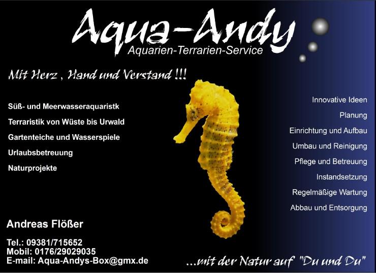 Aquarienservice Aquarienreinigung Aquarienpflege - Aqua-Andy -  - Tierbetreuung & Training - Bild 8