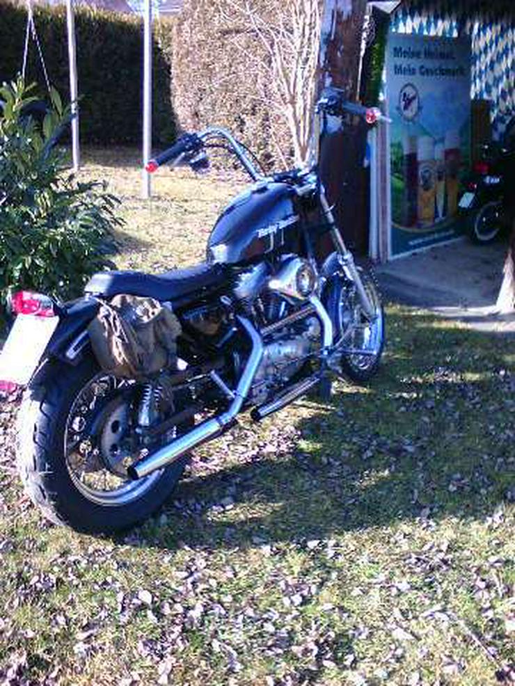 Bild 3: Harley-Davidson XL 883