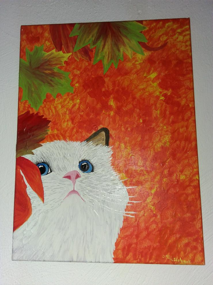 Romantisch neugierige weisse Katze mit tollen blauen Augen Bild Handgemalt Orange - Weitere - Bild 1